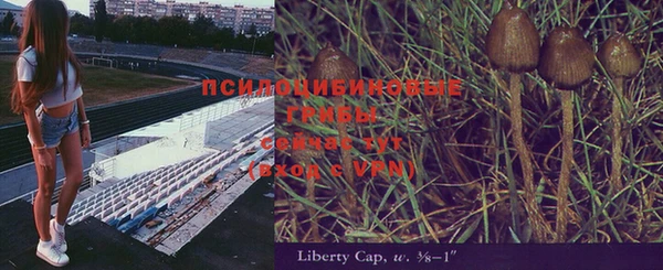 скорость Алексин