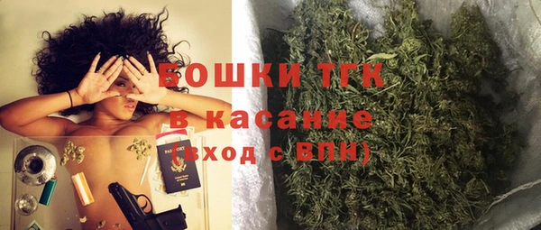 индика Алексеевка