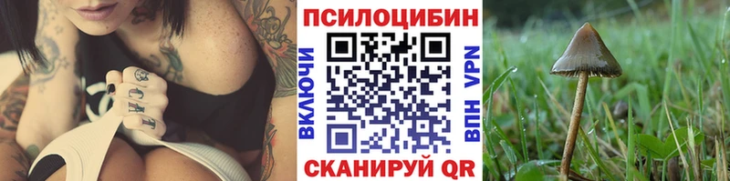 Псилоцибиновые грибы Cubensis  наркотики  Хвалынск 
